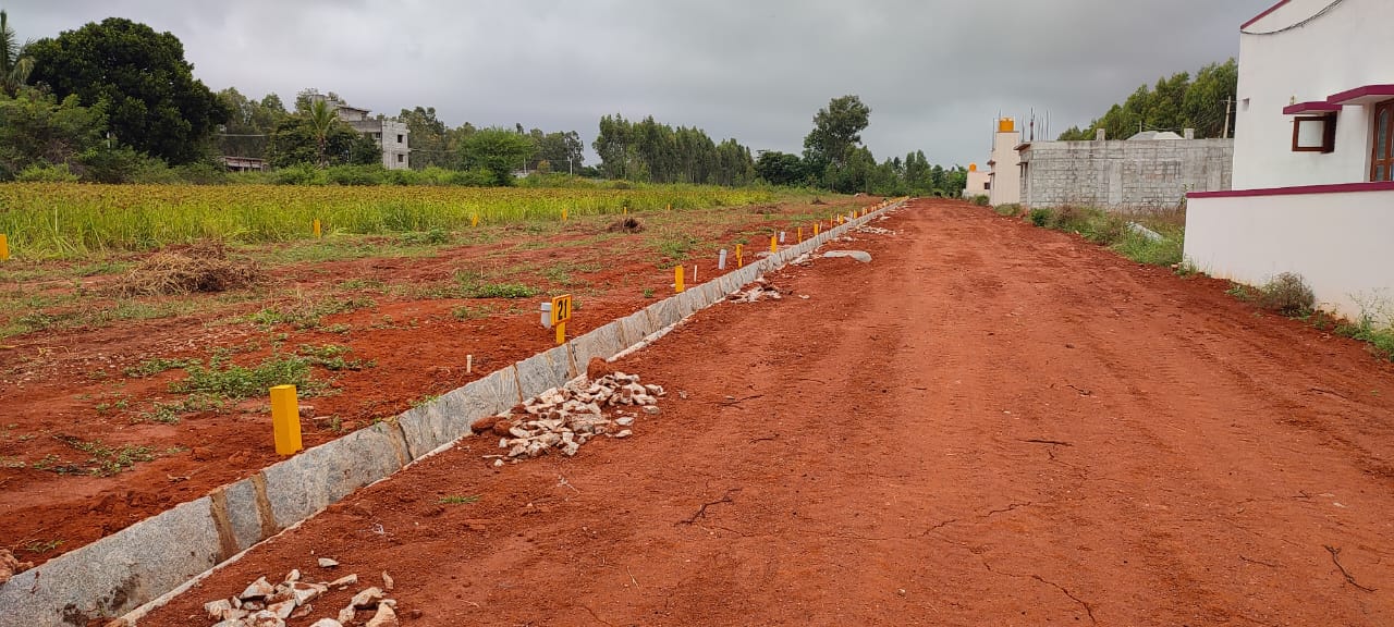 WhatsApp Image 2022-11-14 at 2.56.33 PM