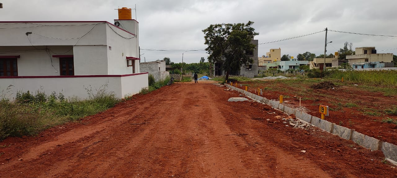 WhatsApp Image 2022-11-16 at 10.41.54 AM