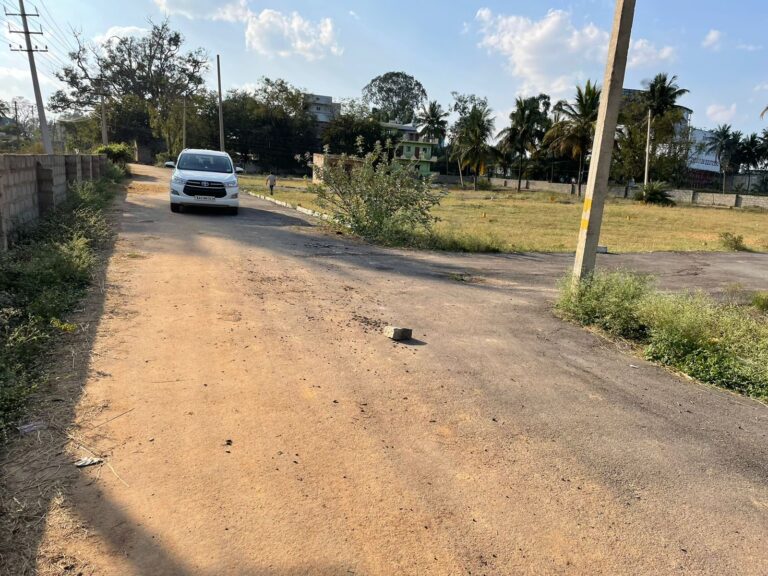 WhatsApp Image 2022-11-16 at 5.12.28 PM (1)