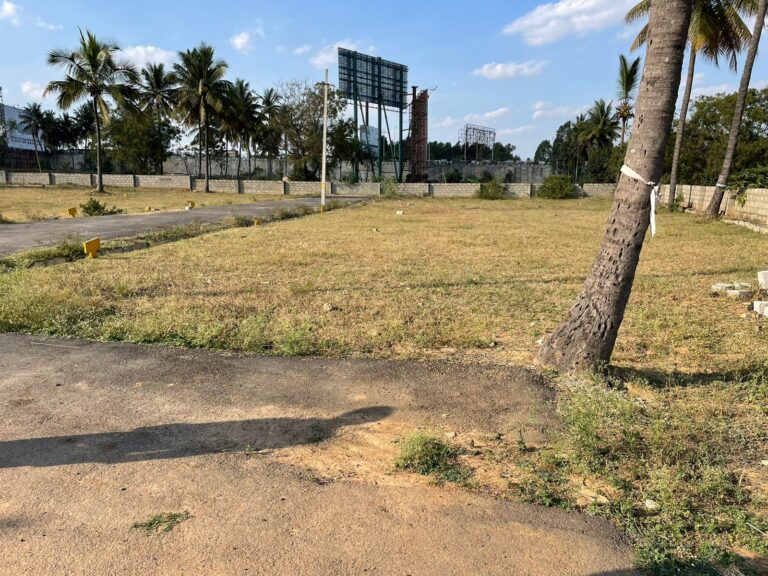 WhatsApp Image 2022-11-16 at 5.12.28 PM