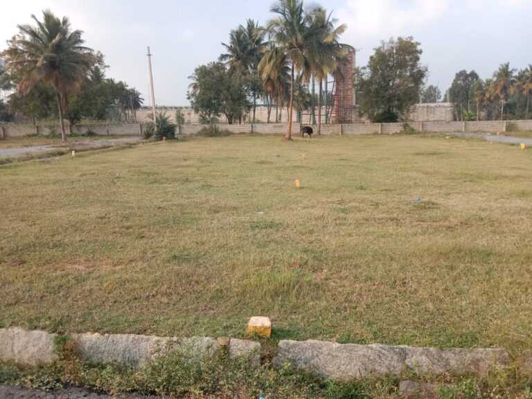 WhatsApp Image 2022-11-16 at 5.13.01 PM