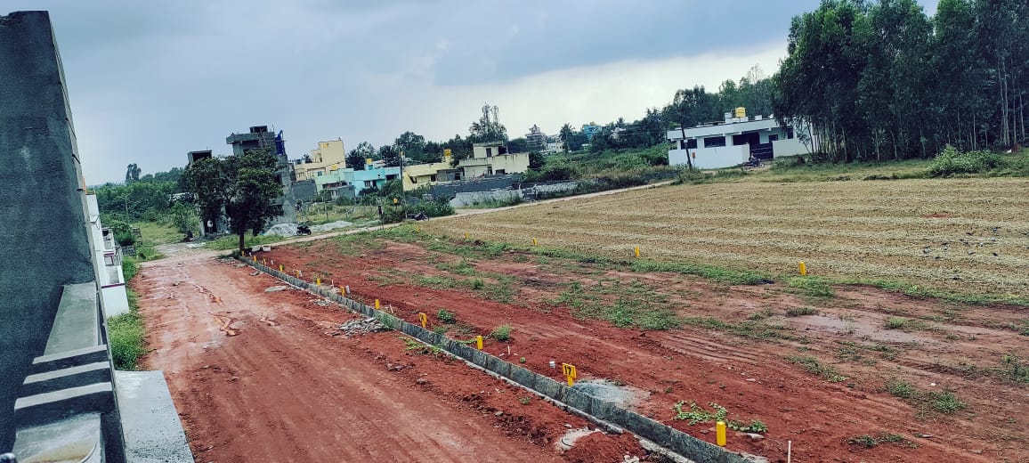 WhatsApp Image 2022-12-12 at 3.39.52 PM (1)