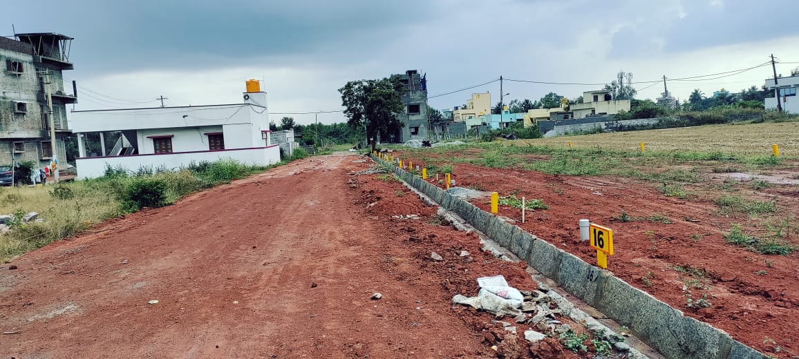 WhatsApp Image 2022-12-12 at 3.39.53 PM (1)